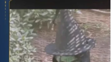 القبض على سيدة متهمة بأعمال السحر والشعوذة في منطقة الفيوم